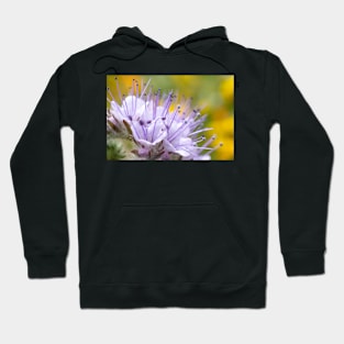 Lacy Phacelia Flower Hoodie